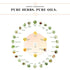 Sesa Kumkumadi Day Cream with Kesar for Skin Brightening